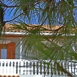 Lodge Pine Tree & Sunset By 