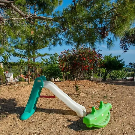 Lodge Pine Tree & Sunset By 
