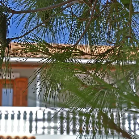 Lodge Pine Tree & Sunset By 