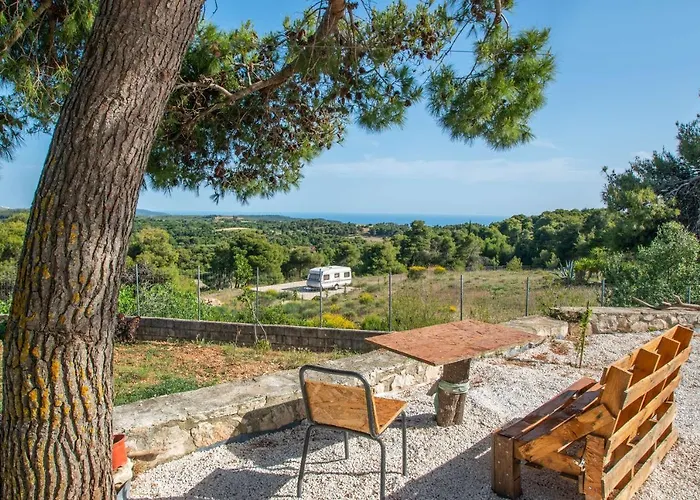Pine Tree & Sunset By 