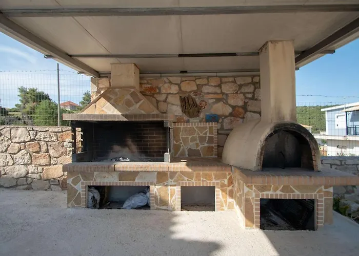 Pine Tree & Sunset By 