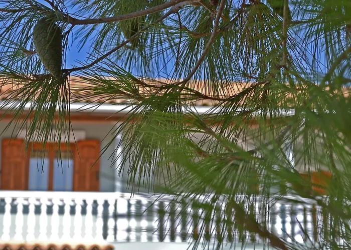 Lodge Pine Tree & Sunset By 