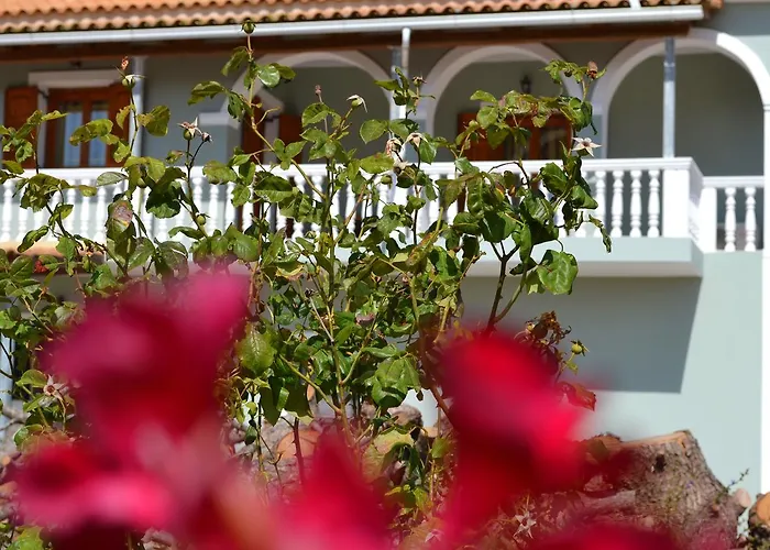 Pine Tree & Sunset By 