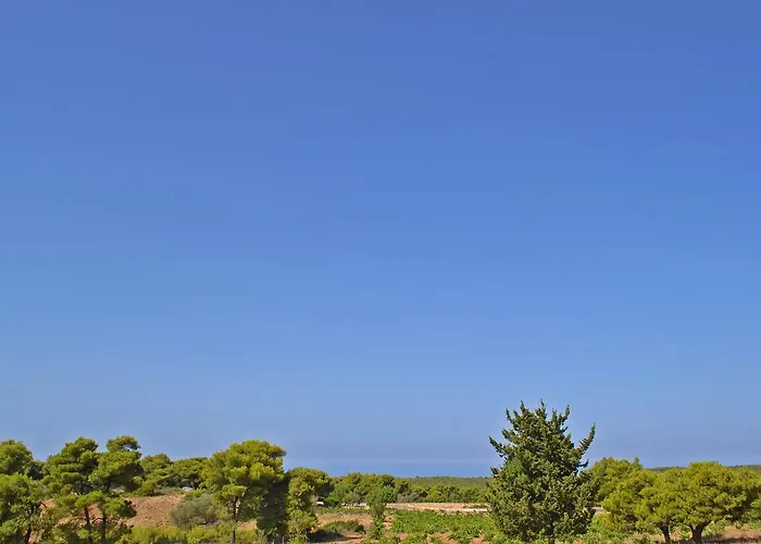 Lodge Pine Tree & Sunset By 