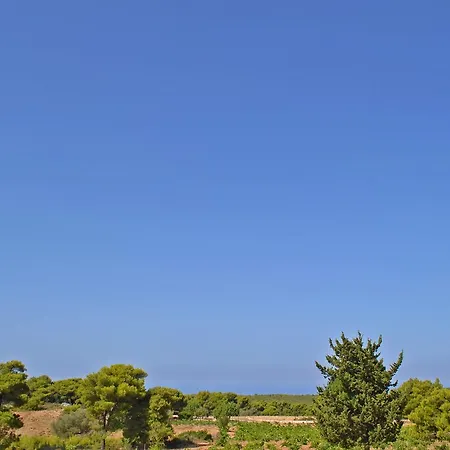 אכסניה Pine Tree & Sunset By 